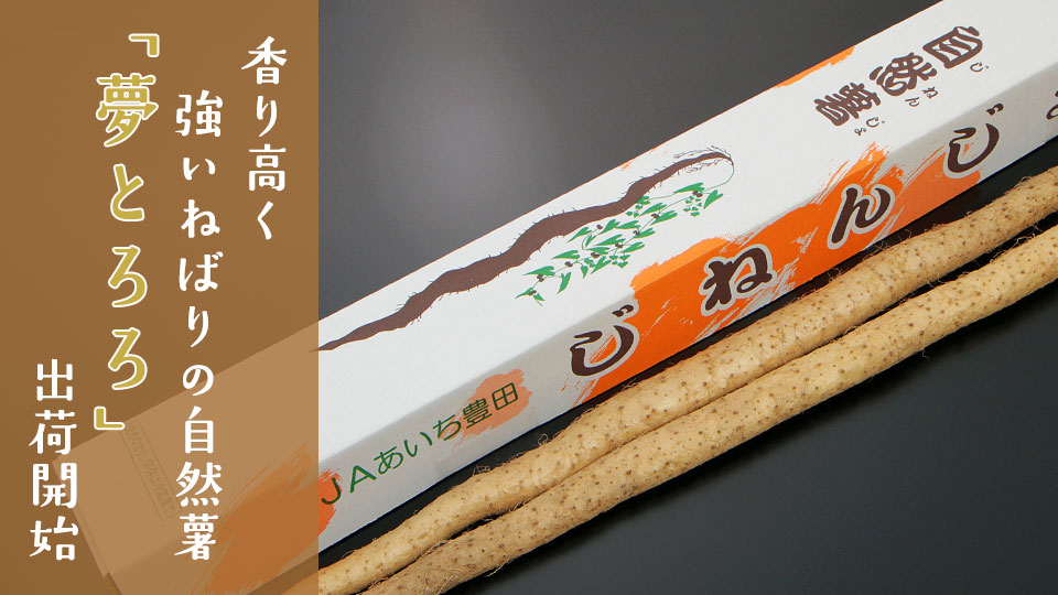 香り高く強いねばりの自然薯 「夢とろろ」出荷開始